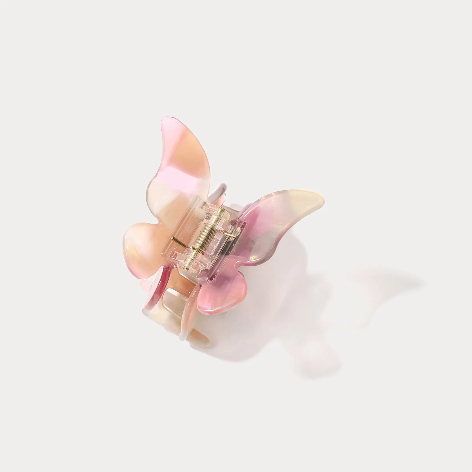 Butterfly Colorblock Claw Clips