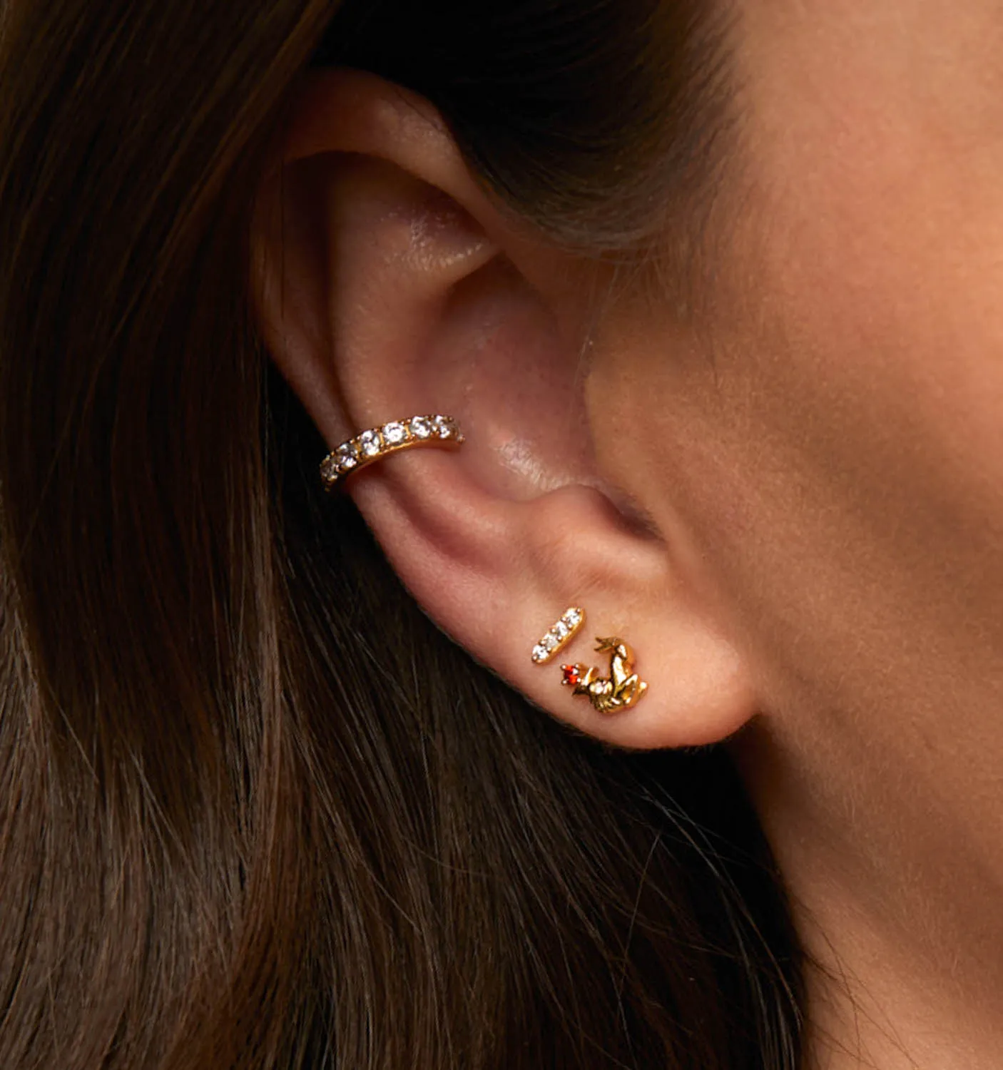 Capricorn Earrings
