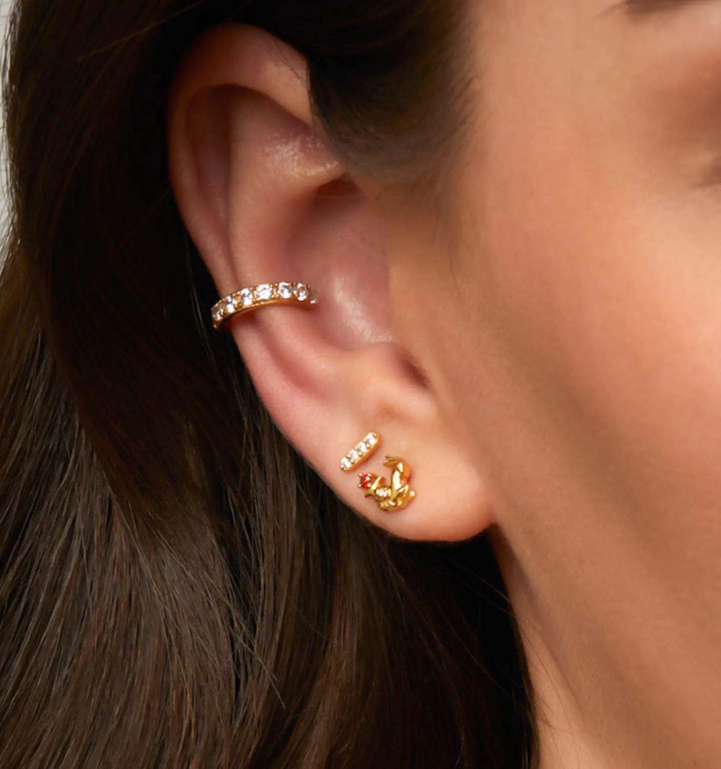 Capricorn Earrings