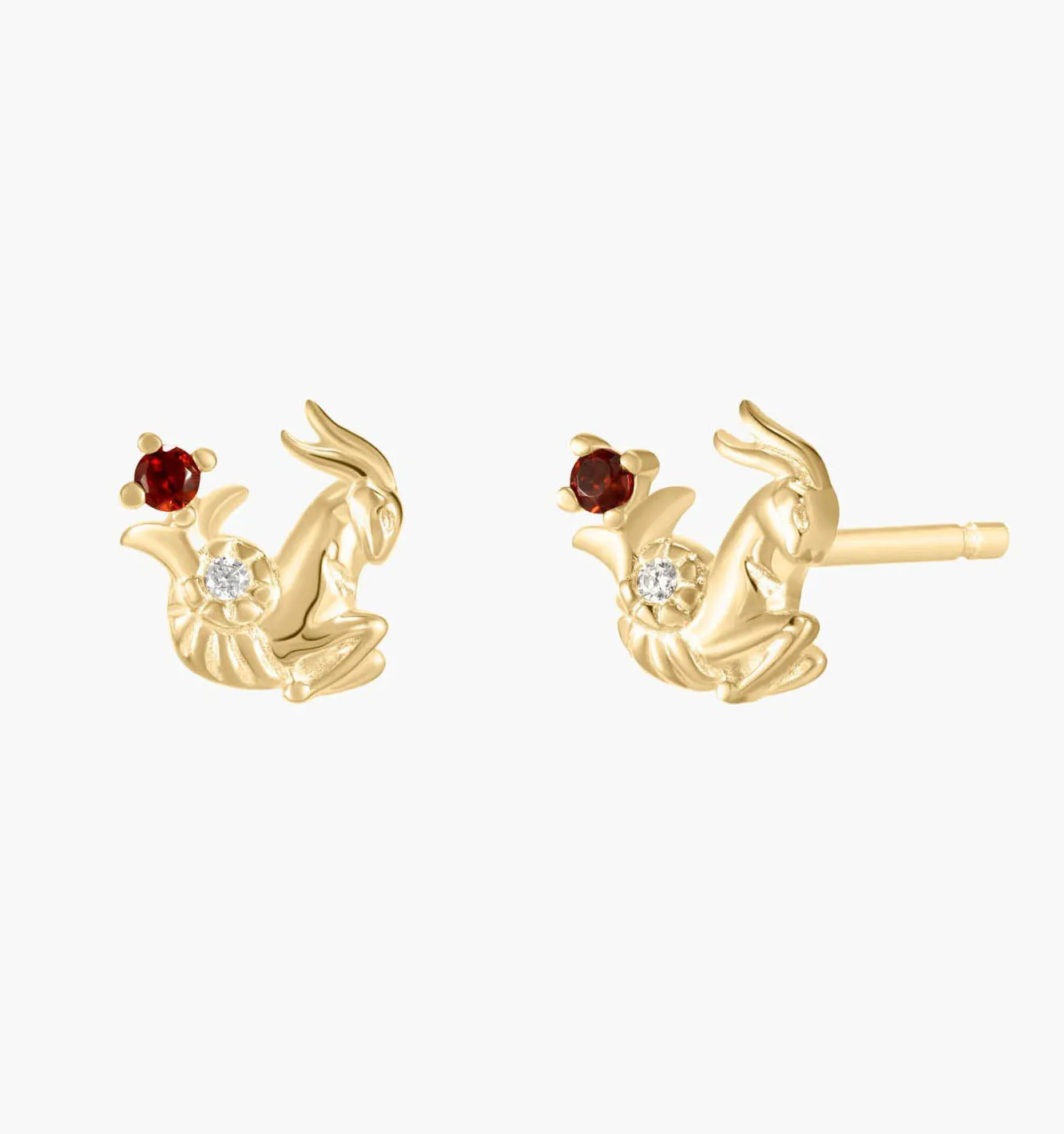 Capricorn Earrings